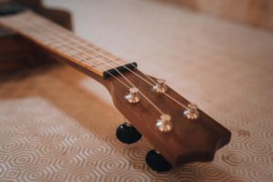 Laurent SAMMARRO - Artisan Luthier à Annecy et Villaz